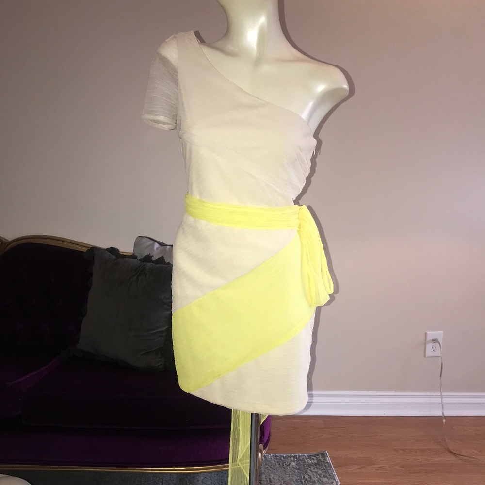 Vintage Style BCBG Dress